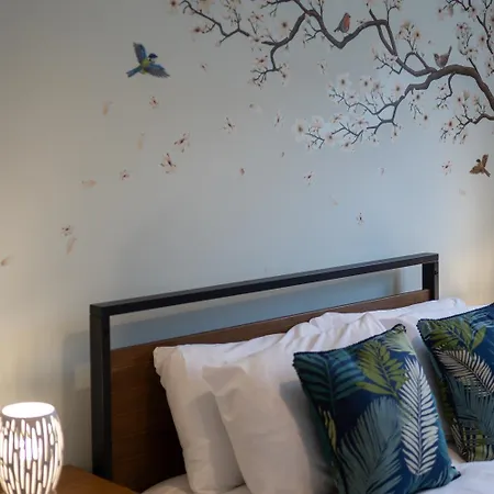 Park House By Cliftonvalley